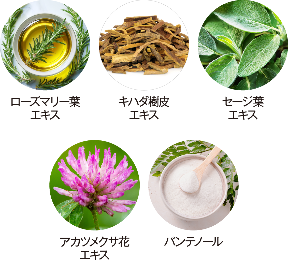 ローズマリー葉エキス、キハダ樹皮エキス、セージ葉エキス、アカツメクサ花エキス、パンテノール